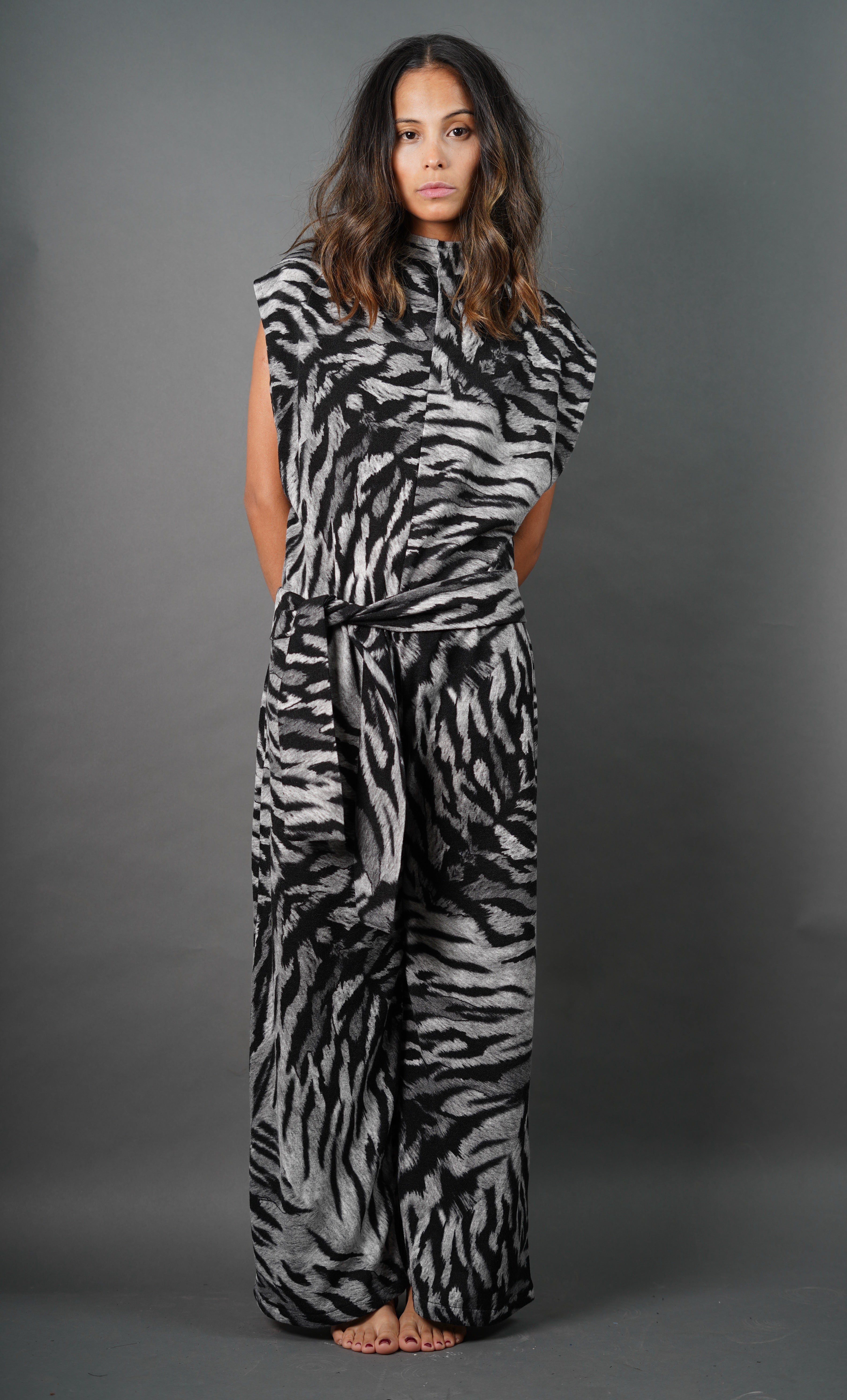 Enterito Zebra