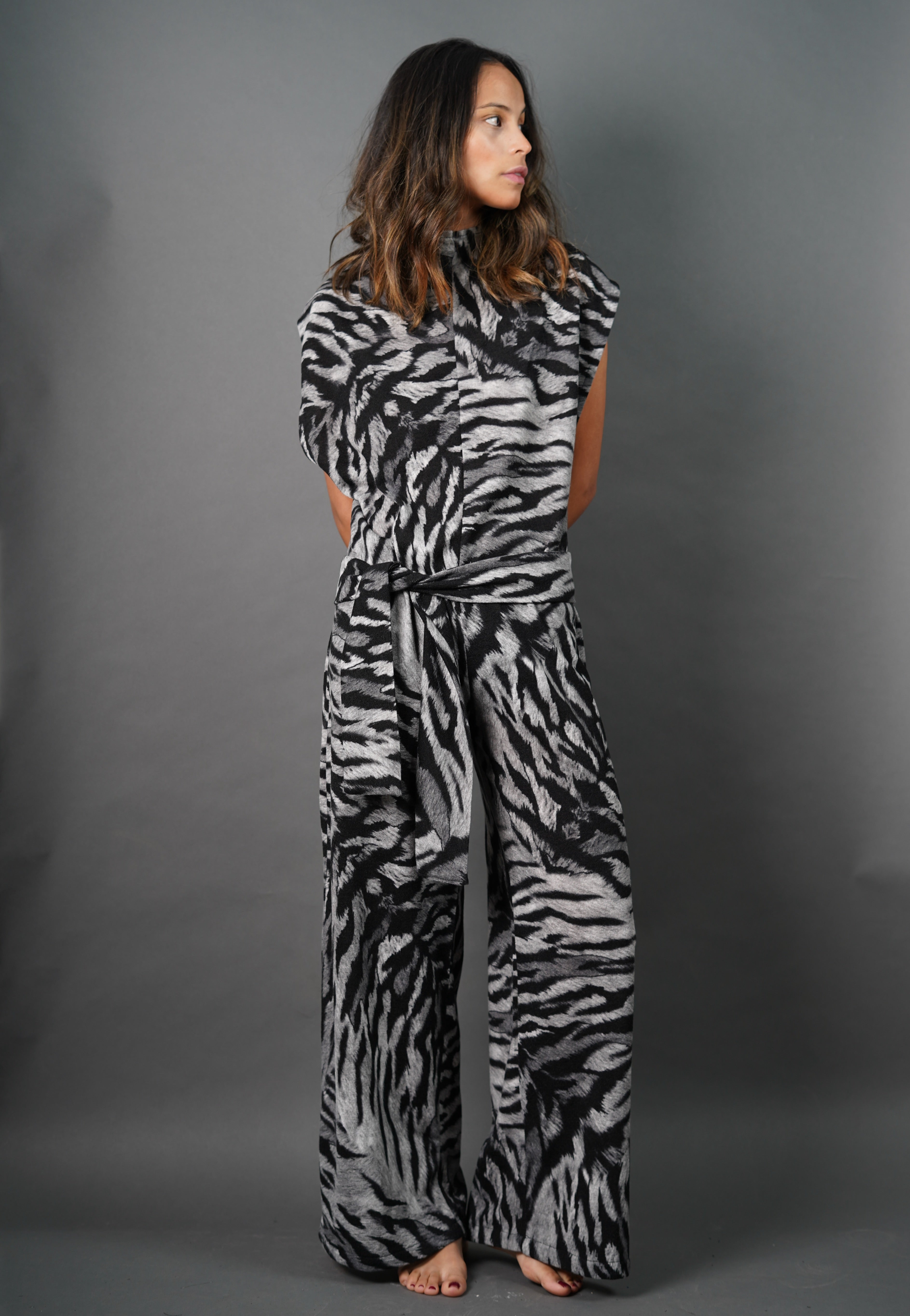 Enterito Zebra